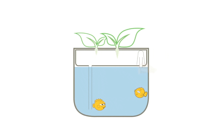 当智能走进生活体验父亲节大礼包