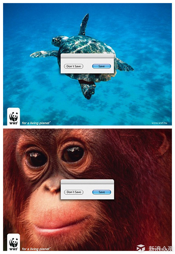 WWF的公益广告 值得全世界的人深思_任务作业_新浪众测