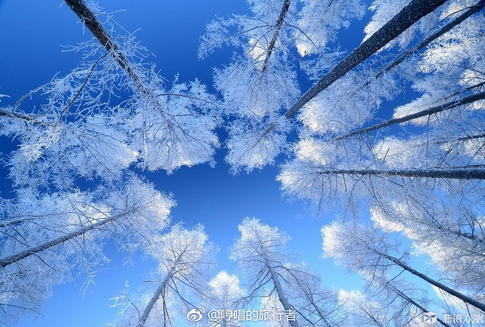 这个冬天,我们在吉林聆听雪花飘落的声音_新浪众测