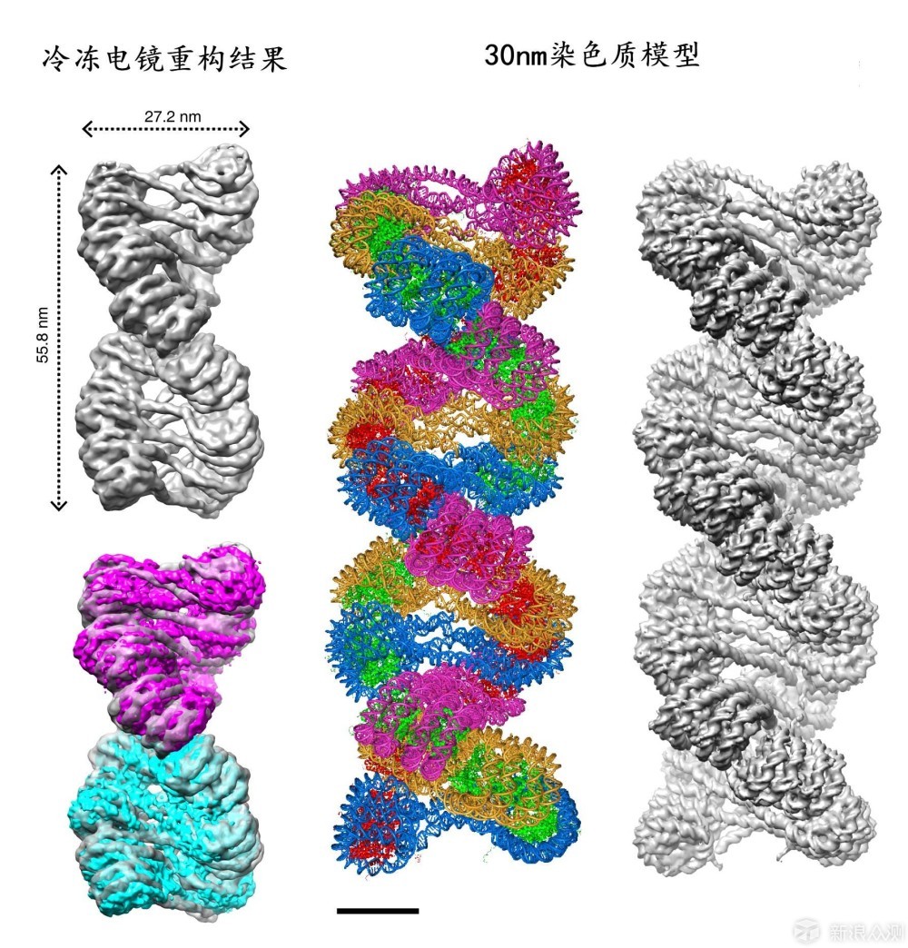 微基因:当了25年的南方人,你说我祖源在北?