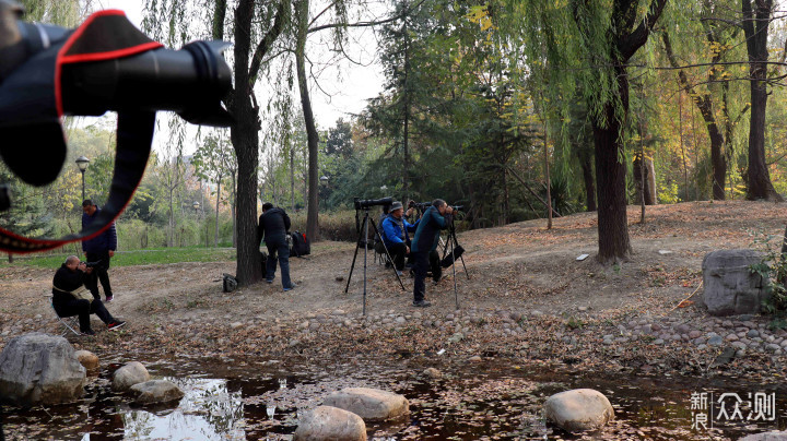 双11都去购物了我和一帮老法师学打鸟去